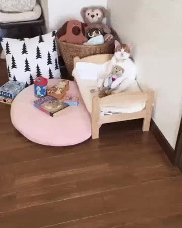 GIF Preview