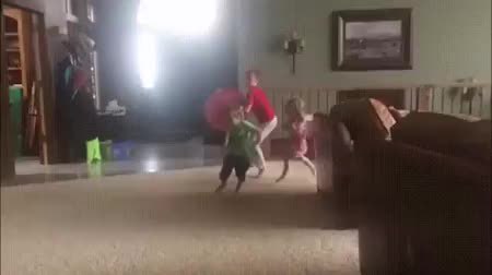 GIF Preview
