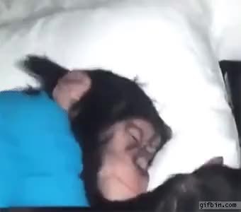 GIF Preview