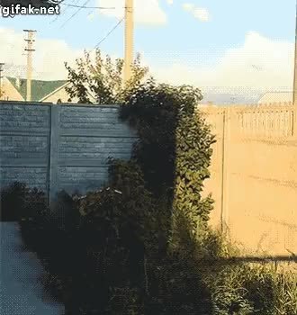 GIF Preview