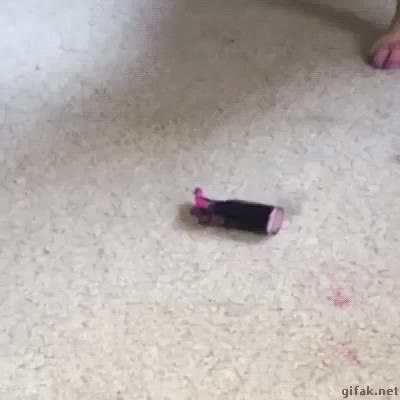 GIF Preview