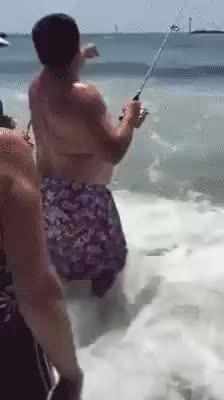 GIF Preview