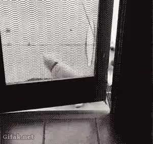 GIF Preview