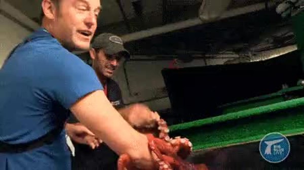 GIF Preview