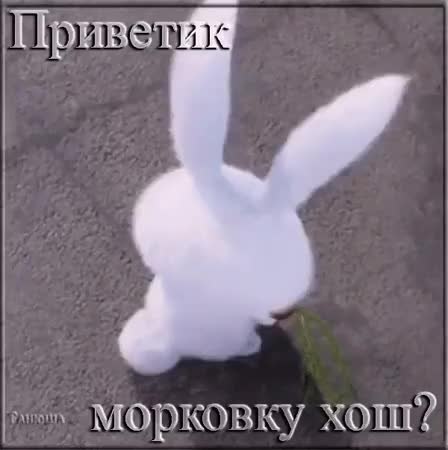 GIF Preview