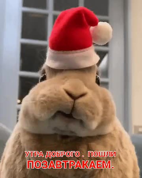 GIF Preview