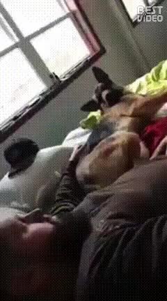 GIF Preview