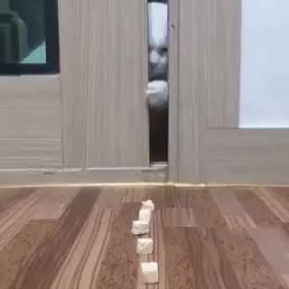 GIF Preview
