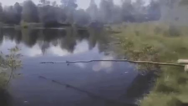 GIF Preview