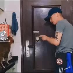 GIF Preview