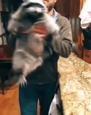 GIF Preview