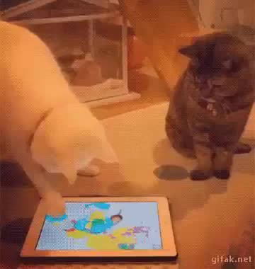 GIF Preview