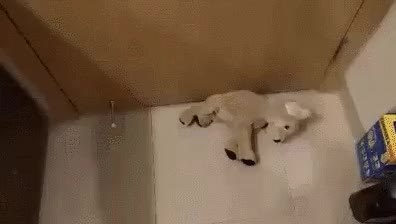 GIF Preview