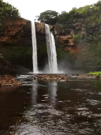 GIF Preview