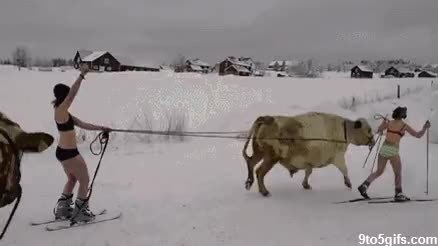 GIF Preview